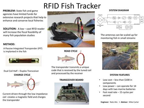 rfid fish tracking|rfid real time tracking.